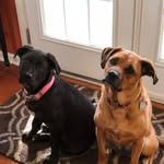 Lexi And Hannah - @lexi.hannah.caputo - Instagram