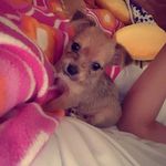 Lexi_Hunter - @lexi_hunterx - Instagram