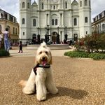 Lexi Hunter - @goldielex16 - Instagram