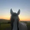 Lexi hunter - @lexi.hunter38 - TikTok