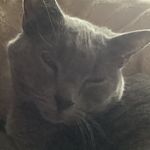 Lexi Lahey - @farcat12354 - Instagram