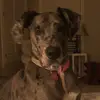 lexie.landry - @lexie.landry - TikTok