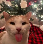 Lexi LeBlanc - Facebook