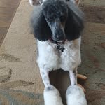 Lexi Mathews - @leximathewswa - Instagram