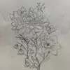 Lexi - @lexi.mitchell6 - TikTok