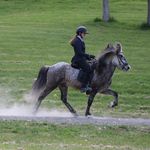 Lexi Mitchell - @lexi_mitchell_eq - Instagram