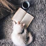 ⓛⓔⓧⓘ  ⓞⓛⓢⓞⓝ - @lexiolson7 - Instagram