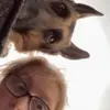 lexi Rodgers - @lexi_rodgers03 - TikTok