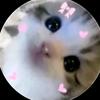 𝐥𝐞𝐱𝐢 𝐫𝐮𝐛𝐢𝐨💛 - @finn_editzx4ever - TikTok
