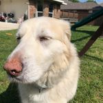 @lexi_schwartz_lol_8 - Instagram