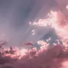 Aesthetics 🌸🌼🌺🏵💮 - @lexishay09 - TikTok