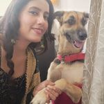 Lexi The German Shepherd - @lexi_i01 - Instagram