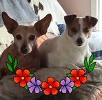Lexie Shepherd - Facebook