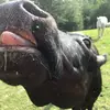 Lexie - @lexie_tarver - TikTok