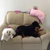ruby tarver - @lexitarver - TikTok