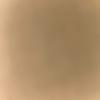Lexi Walsh - @lexi.walsh78 - TikTok
