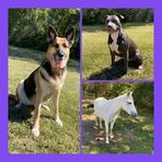 Lexi Bates - Facebook