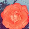 Idk - @lexie.casey - TikTok