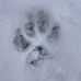 Lexis Eagleson - Facebook