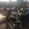 Lexi Floyd - @lexi.floyd - TikTok