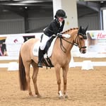 Lexie Howe - @lexiehowe.dressage - Instagram