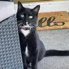 Lexie Holmes - @chloeholmes516 - TikTok