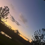 Lexie - @lexie.holmeswearne22 - Instagram