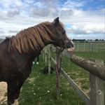 @lexieholmes2021 - Instagram
