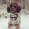 Hello - @lexielandd - TikTok