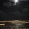 Lexi Malone - @lexi.malone8 - TikTok
