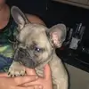 Lexie Malone - @coolgirllexie_49025 - TikTok