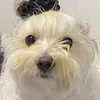 Lexi Newman - @l.exinewman - TikTok