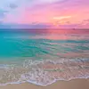 patton__lexie - @patton__lexie - TikTok