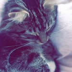 Lexie - @lexie.slater22 - Instagram