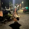 name - @.lexietaylor - TikTok