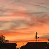 Lexi Wright - @lexi.wright74 - TikTok