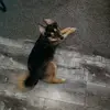 lexy - @lexy._.adams - TikTok