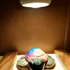 Lexy Hall - @spotlight.turtle_11 - TikTok