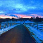 Lexy Hall Stables - @lexyhallstables - Instagram