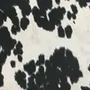 Lexy Rivera - @chasingcows - TikTok