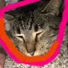 💩Lexi is SAVAGE😈 - @user4972065565613 - TikTok
