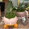 Lexy Turner - @lexyandthefroggies - TikTok