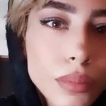 پت شاپ|پلاک پت - @ley_gallery - Instagram