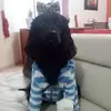 leyamoreno0 - @leyamoreno0 - TikTok