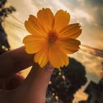 Leya Ramos - @wanderleyasilva56 - Instagram