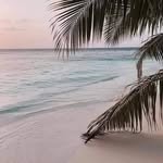 Leyah Thomas - @leyah.thomas.75 - Instagram