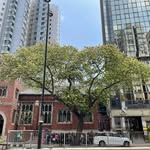 Leyan wang - @leyanwang666 - Instagram