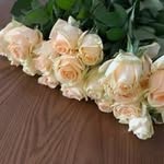 Leyan Wang - @leyanwangw - Instagram