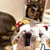 Leyda Ortiz - @leyda.ortiz3 - TikTok