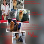 Leyda L Perez - @leydaperezb - Instagram
